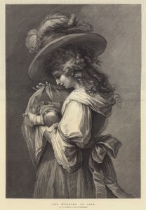 Il mattino della vita